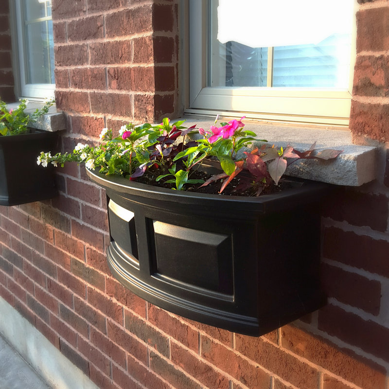 Mayne Inc. Nantucket SelfWatering Plastic Window Box Planter & Reviews Wayfair